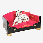 Katalin zu Windischgraetz